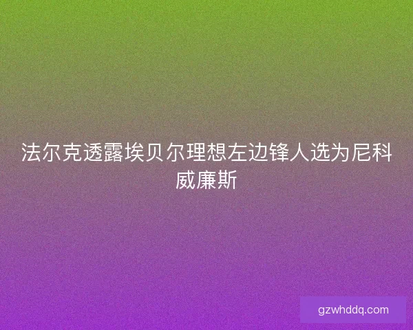 法尔克透露埃贝尔理想左边锋人选为尼科威廉斯 法尔克透露埃贝尔理想左边锋人选为尼科威廉斯