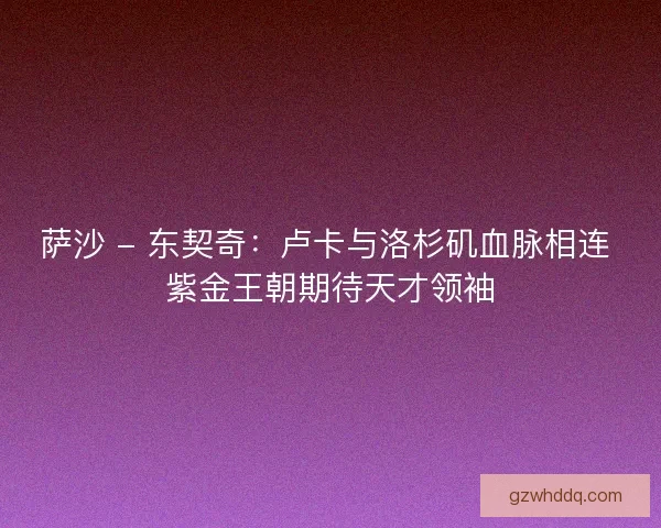 萨沙 - 东契奇：卢卡与洛杉矶血脉相连 紫金王朝期待天才领袖