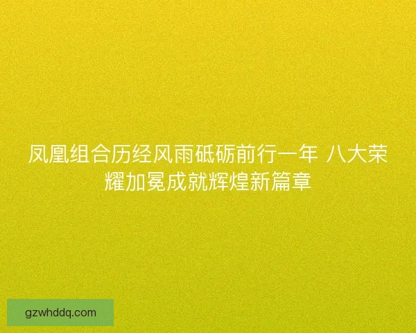 凤凰组合历经风雨砥砺前行一年 八大荣耀加冕成就辉煌新篇章 凤凰组合历经风雨砥砺前行一年 八大荣耀加冕成就辉煌新篇章